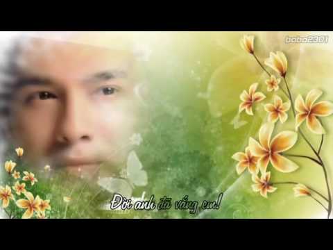 Tình mơ - Đan Trường