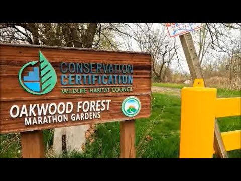 Detroit's Oakwood Heights New Rouge River Park Construction. Oakwood Forest. Marathon Refinery.