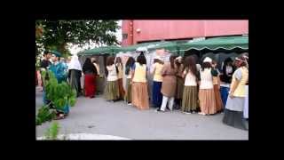 preview picture of video 'Feira Medieval e Quinhentista - O desfile'