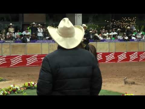 CANDELA PURA DE VILLA NELLY, CAMPEONA JOVEN TROCHA COLOMBIANA 47 EXPO ORIENTE GRADO A 2023 Asdesilla