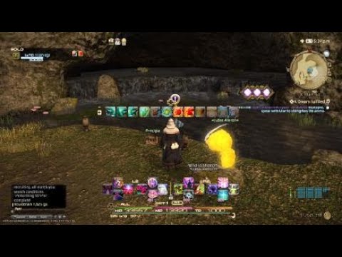 FINAL FANTASY XIV STORMBLOOD Patch 4.25 - Performing for Prin