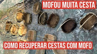 MUITAS CESTAS MOFADAS, SERÁ QUE VOU CONSEGUIR RECUPERAR?