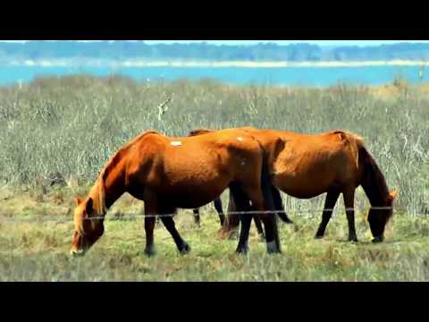 Top 10 Best Places to Visit in Virginia, USA