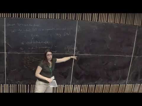 Claudia Scheimbauer - En-algebras, extended topological field theories and dualizability