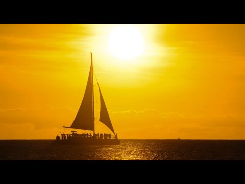 TEMA DE UN LUGAR DE VERANO  Percy Faith1