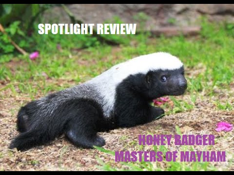 Spotlight Review Honey Badgers Masters of Mayhem