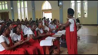 Download lagu Kwaya ya mt. Maria malkia wa ulimwengu kijwire parish waki adhimisha siku ya mt. Stephano mp3