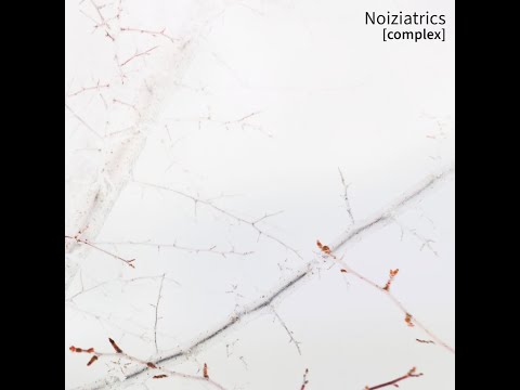 Noiziatrics - [maria]