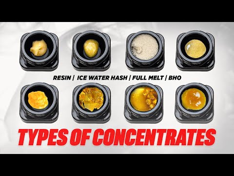 Cannabis Concentrates Explained