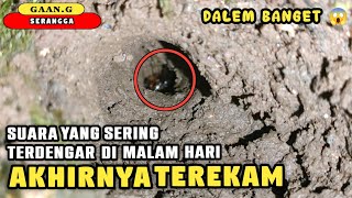Download lagu TEREKAM!! Suara Yang Sering Terdengar Di Malam Hari | GAANG mp3