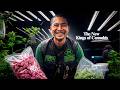 Inside Thailand S Booming Weed Industry Documentary