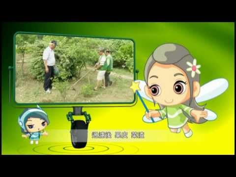 台南市政府環境保護局生廚餘堆肥教作