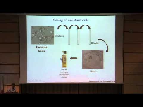 EMBO conference: Viruses of Microbes 2012: Hervé Moreau