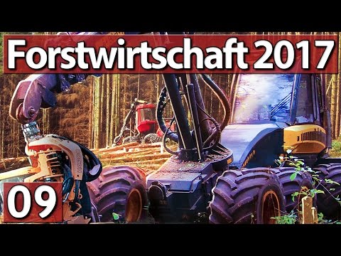 FORSTWIRTSCHAFT 2017 #9 NACH dem LADEN ist… ►Lets Play Forestry