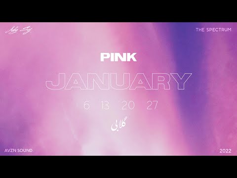Ady Saj - Pink January - Reveal | THE SPECTRUM