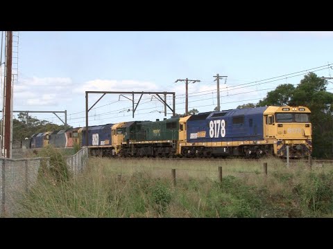 Australian diesel locomotives 8178, X45, 8050, DL49 & DL45, PN train no.5136 - Cowan bank - Jan 2014