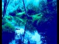 Bond   Midnight Garden