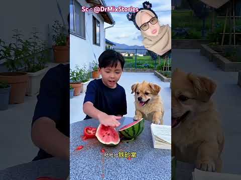Apakah Kakak Bisa Menghancurkan Semua Buah Ini ⁉️😬 @DrMixStories