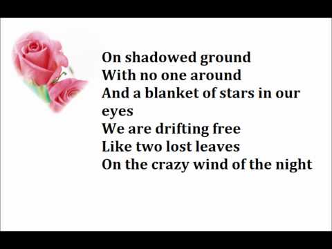 The Pointer Sisters - Slow Hand Lyrics