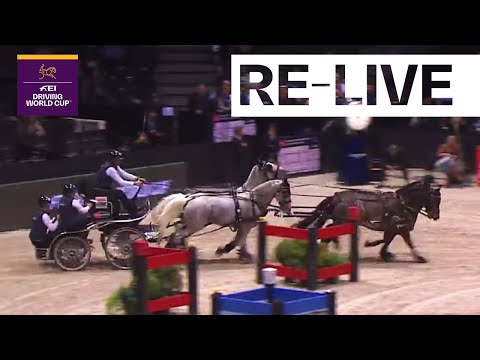 RE-LIVE | Competition 1 | FINAL Bordeaux (FRA) | FEI Driving World Cup™
