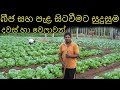 බීජ සහ පැල සිටවිමට සුදුසු දවස් හා වේලා
