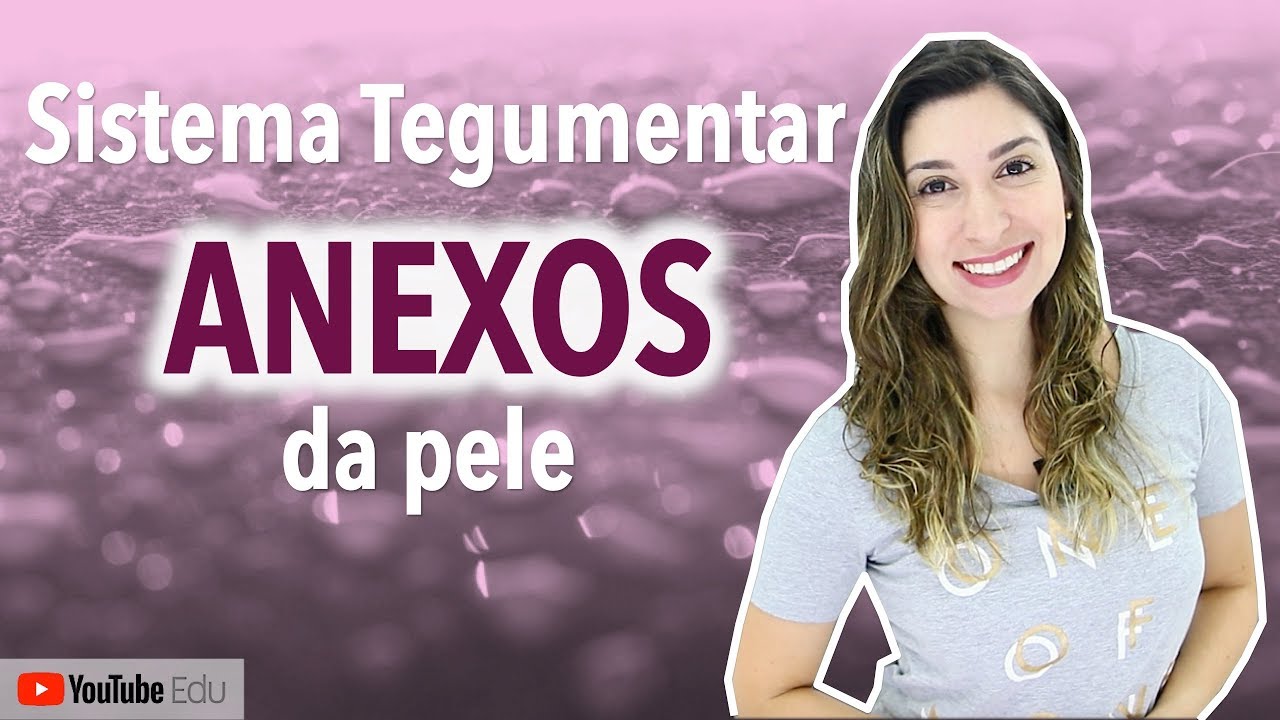 Anexos da Pele: Sistema Tegumentar 4/4 | Anatomia etc