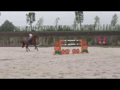 Golden Pleasure Training