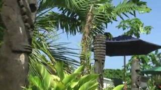 preview picture of video 'Vanuatu Santo Island View Resort'