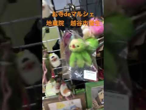 お寺deマルシェ　地蔵院　越谷市　蒲生