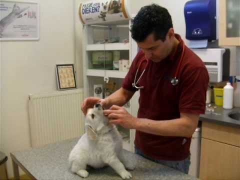 download lagu mp3 mp4 Ashbury Deep Impact, download lagu Ashbury Deep Impact gratis, unduh video klip Ashbury Deep Impact