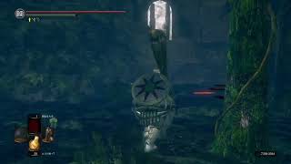 森のおひさし
