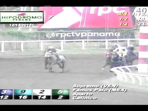 COPA DAMA DEL CARIBE