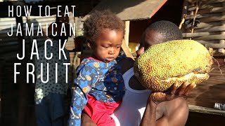 How to eat Jamaican Jackfruit (with Ratty)