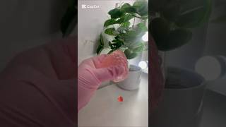 Download lagu PINK CLEAR STRAWBERRY TABA SQUISHY UNBOXING AND ASMR! 🍓 #asmr #fyp #fypシ゚viral mp3