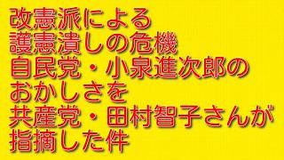 【改憲派による護憲潰しの危機】自民党・小泉進次郎のおかしさを共産党・田村智子さんが指摘した件