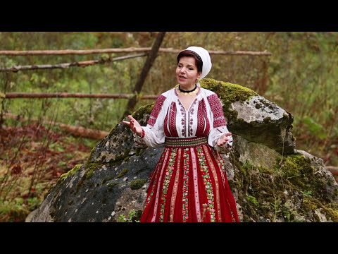 Irina Zoican - Nană ai fost dragostea mea (Official Video) NOU