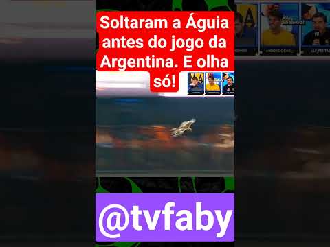💚VEM VER O VÍDEO. SOLTARAM A ÁGUIA NO INÍCIO DO JOGO DA ARGENTINA. SE INSREVA @tvfaby