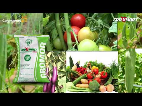 COROMANDEL GROMOR GRO SMART | 24:24:0 GROMOR GROSMART