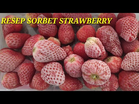 RESEP SORBET STRAWBERRY, ASELI SEGAR