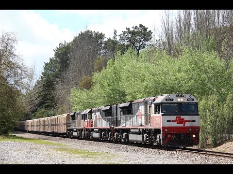 Adelaide Hills Rail Action - 22nd October 2016