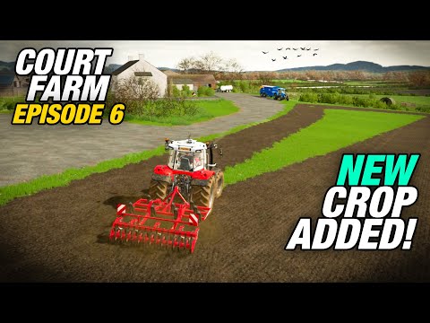 RIPPING UP THE FRONT FIELD FOR ANOTHER NEW CROP!  | Court Farm | Farming Simulator 22 - Ep6