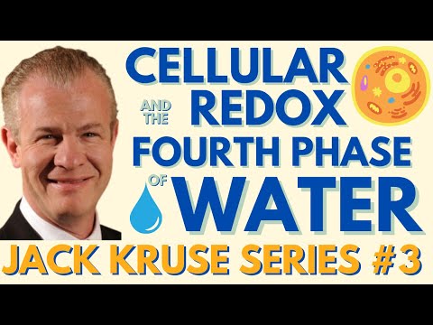 Dr Jack Kruse: Deuterium, 4th phase of WATER, & cellular redox | Regenerative Health Podcast