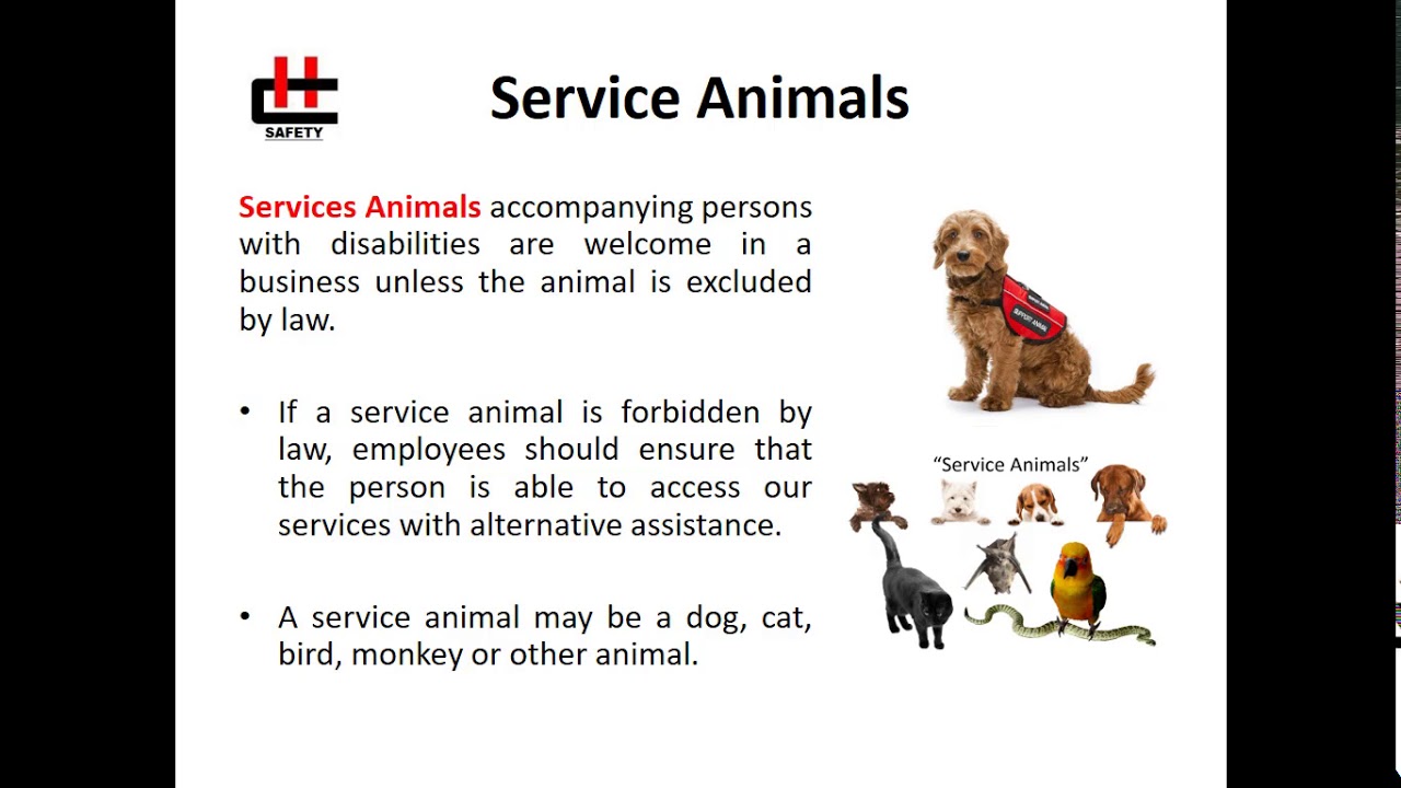 AODA - Training Video - 2018