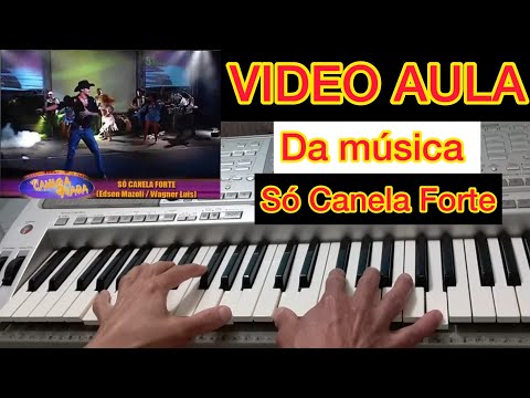 Canela Forte - Camisa Suada