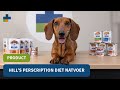 Hill's Prescription Diet - Natvoeding voor honden & katten!