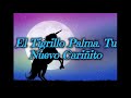 El Tigrillo Palma. Tu Nuevo Cariñito letra