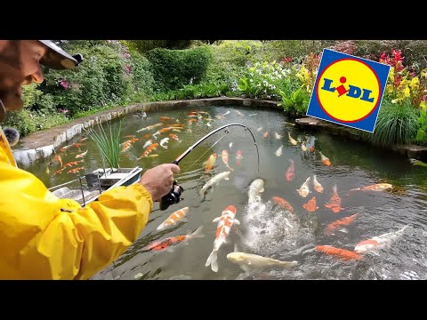 Koi Teich LIDL Challenge: Die 4 wertvollsten Fische mit Billig-Rute angeln!