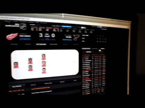 Thank you Wings!!! - End of game