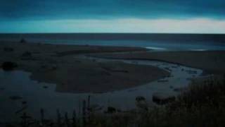 Steve Roach - Left Perfectly Alone