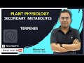 SECONDARY METABOLITES TERPENES NILESH SONI